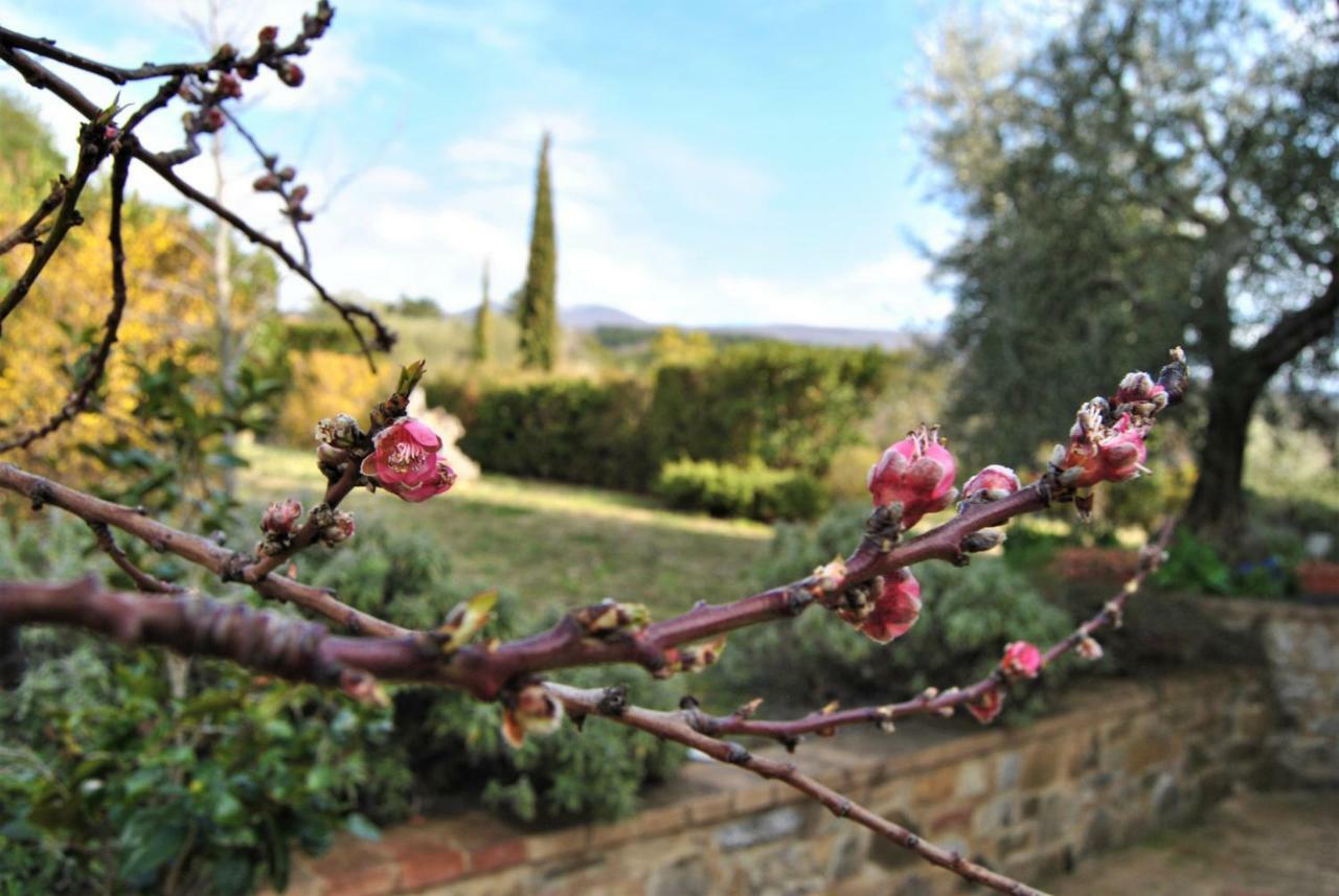 Casa Fioranna Villa Seggiano Kültér fotó